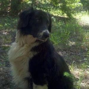 Meet your Posher, Susan sheppard